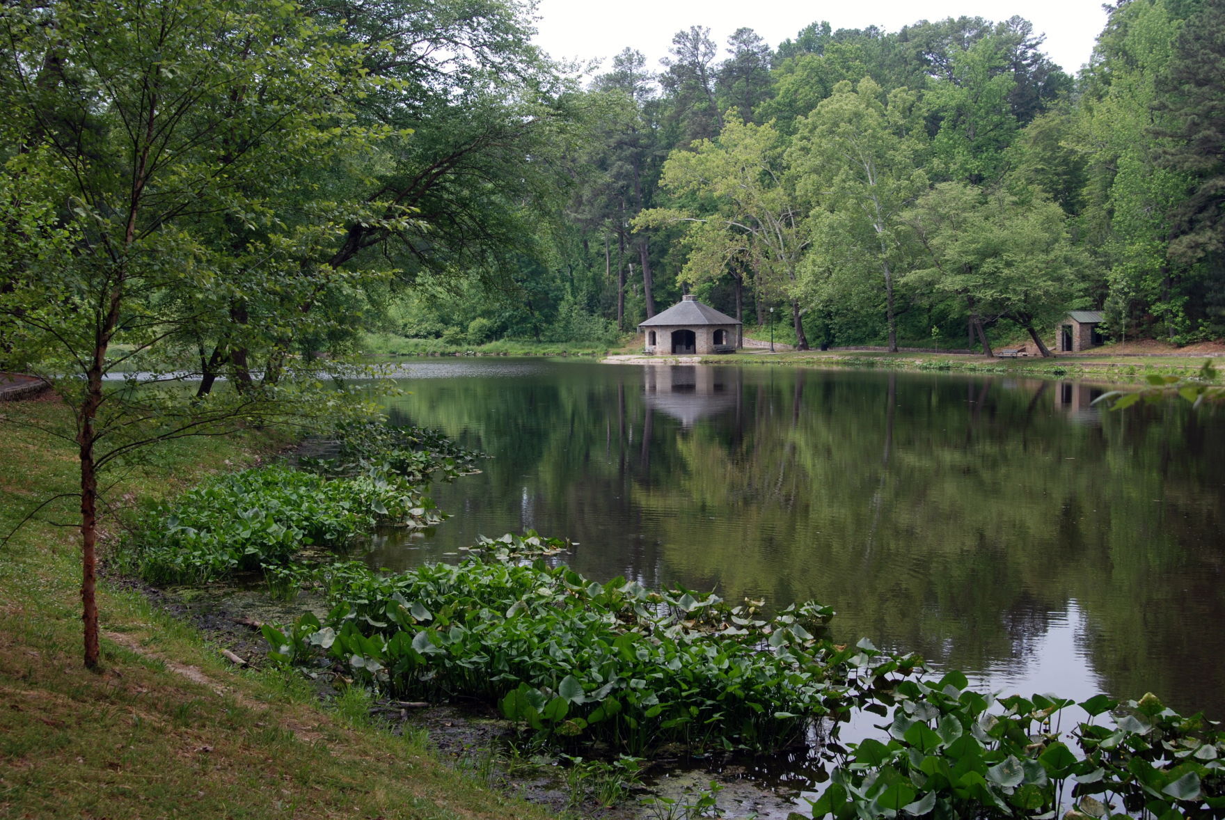 Forest Hill Park